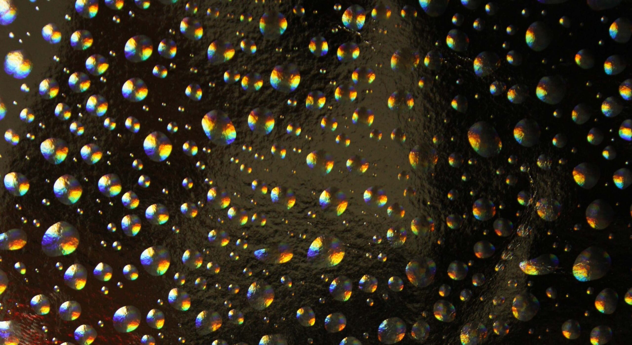 Scopri di più sull'articolo DROPS