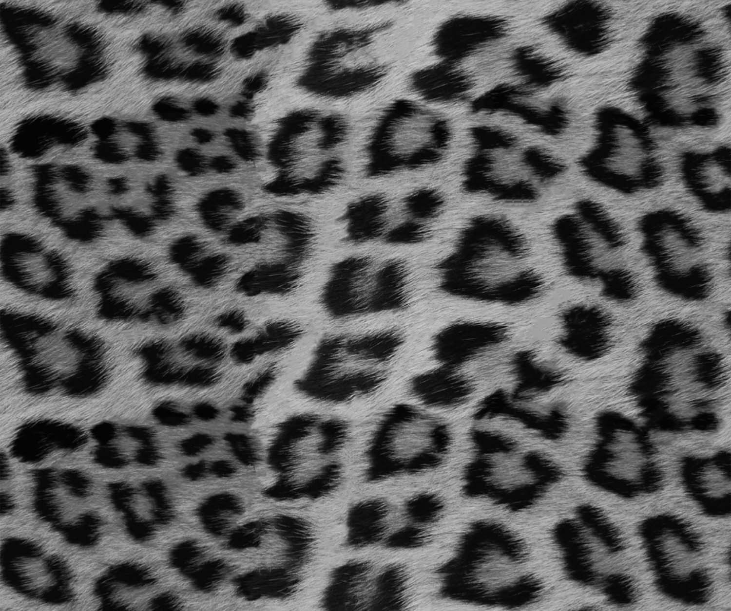 Scopri di più sull'articolo DS-58