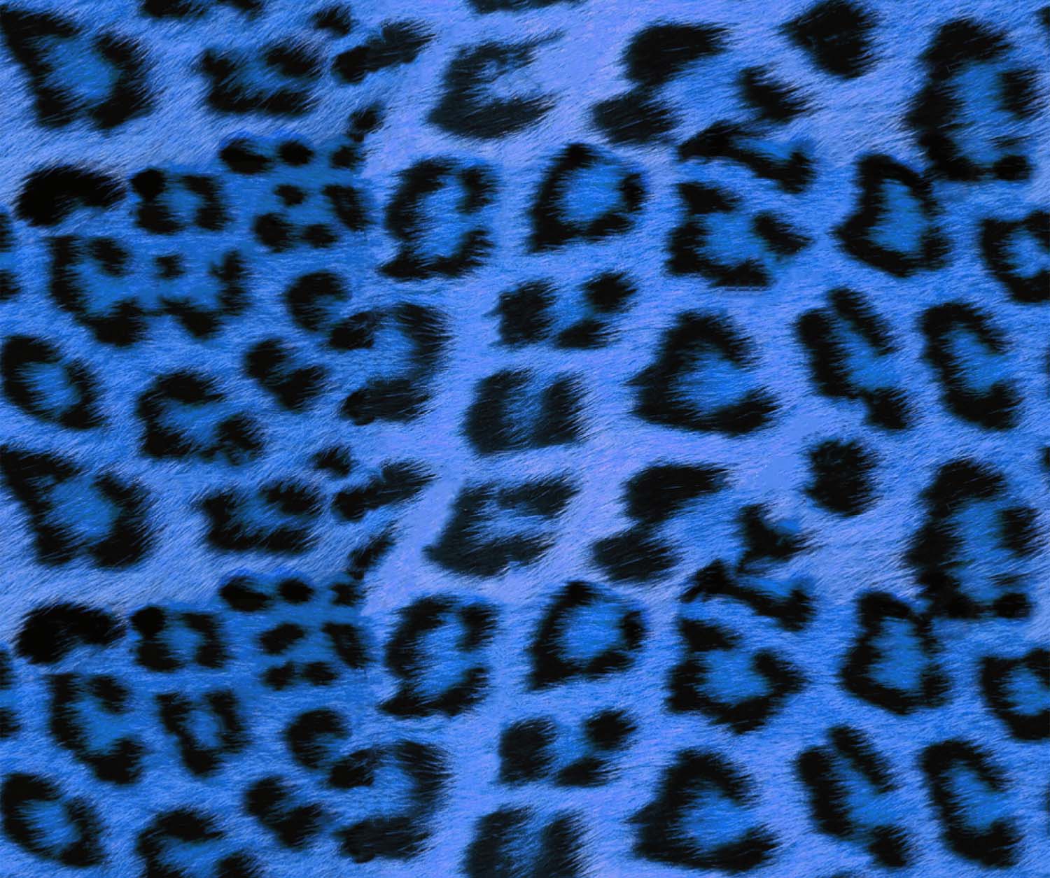 Scopri di più sull'articolo DS-60