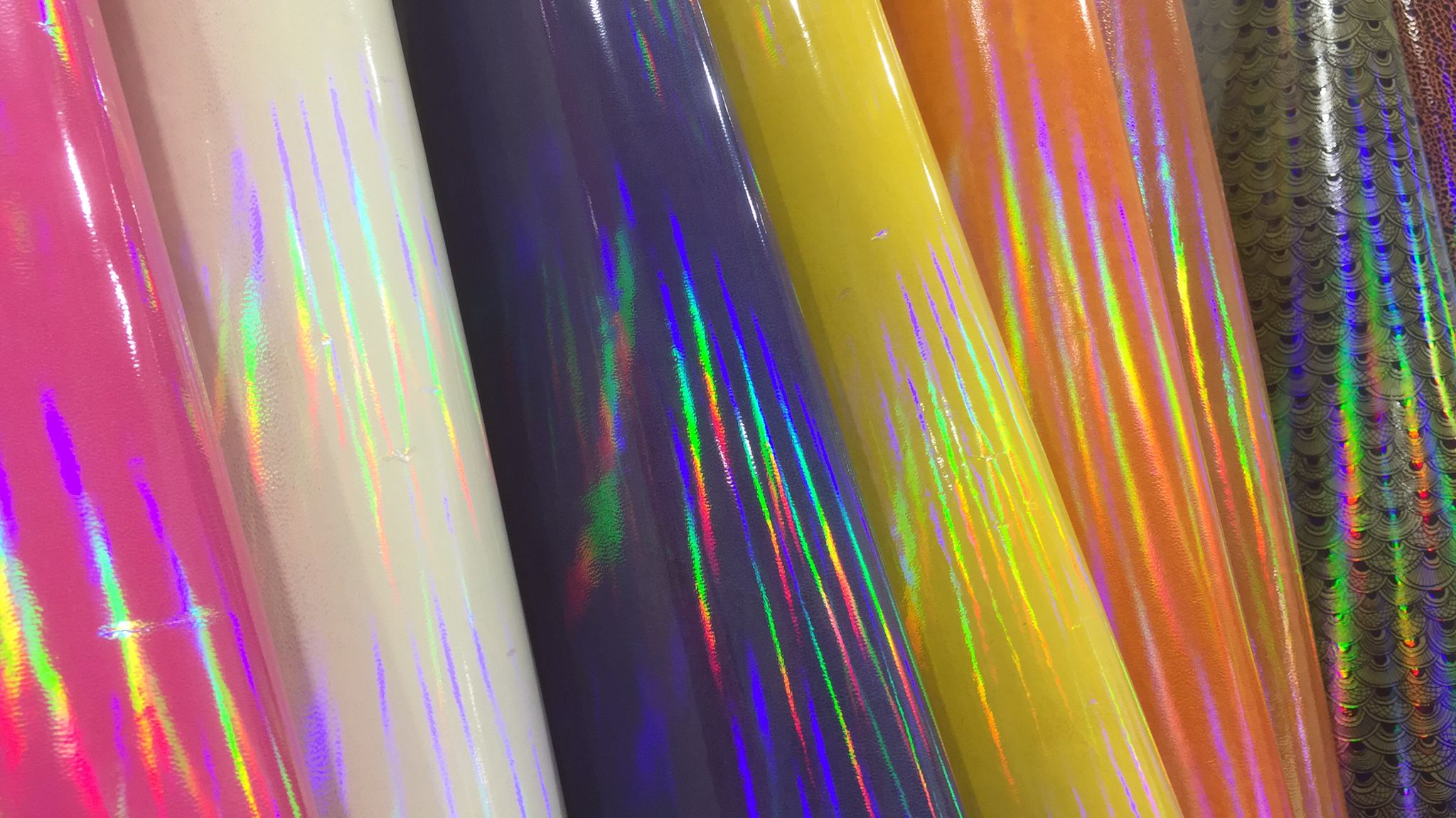 Scopri di più sull'articolo LINEA OLO-TRASPARENTE