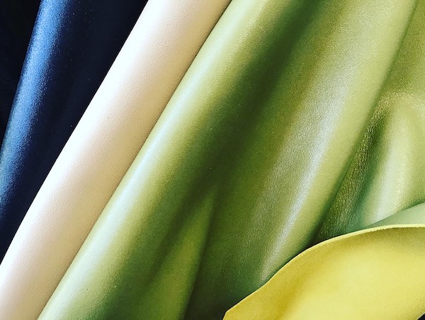 Scopri di più sull'articolo LINEA ABBIGLIAMENTO MTC